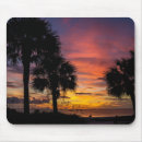 Recherche de solitude tapis souris Tropical