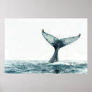 Recherche de queue de baleine posters Mer