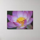 Recherche de signification de fleur Pourpre