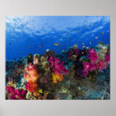 Recherche de fidji art Extérieur