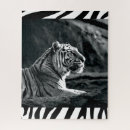 Recherche de tigre blanc puzzles Faune