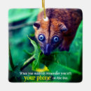 Recherche de opossum ornements Animal