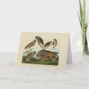 Recherche de pygmée vœux cartes Illustration