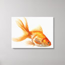 Recherche de poisson rouge toiles Natation