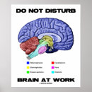 Recherche de humour médical posters Cerveau
