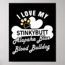 Recherche de chien bleu posters Bulldog français