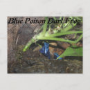 Recherche de poison cartes postales Zoo