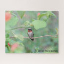 Recherche de throated Nature