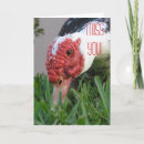Recherche de planner toutes vœux cartes Animal
