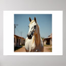 Recherche de classeur de cheval Arabe