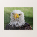 Recherche de aigles puzzles Faune