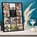 Recherche de animaux mémoriaux Perte d'animal de compagnie