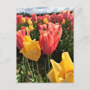 Recherche de pretty cartes postales Rose