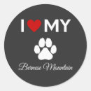 Recherche de bernois autocollants Animaux domestiques