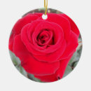 Recherche de bourgeonnement ornements Rose