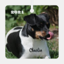 Recherche de jack russel ornements Animal