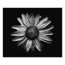 Recherche de motif monochrome posters Noir et blanc