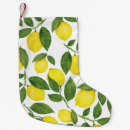 Recherche de citron chaussette de noël Illustration