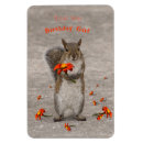 Recherche de fleurs rouges magnets Mignon