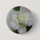 Recherche de oeillets badges Carnation