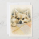 Recherche de chihuahuas vœux cartes Toute personne