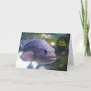 Recherche de poisson photographie Pour lui