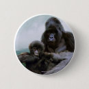 Recherche de primat badges Animal