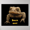 Recherche de grenouille mignonne posters Animal