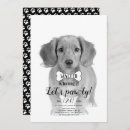 Recherche de chien noir invitations Noir et blanc