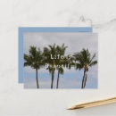 Recherche de photo de palmier cartes postales Palmiers
