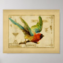 Recherche de perroquet tropical posters Rétro