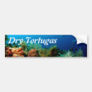 Recherche de corail voiture autocollants Floride