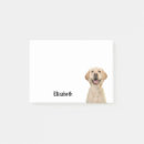 Recherche de labrador retriever Enfants