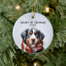 Recherche de montagnes ornements Garder