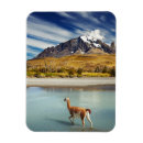 Recherche de tore magnete Del