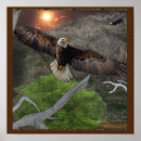 Recherche de aigle posters Nature
