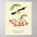 Recherche de vintage fairy posters Rose