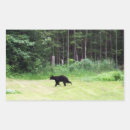 Recherche de ours noir autocollants Animal