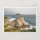 Recherche de cypr photographie Voyage