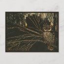 Recherche de hibou vintage cartes postales Éphémère