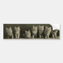 Recherche de kit voiture autocollants Chats