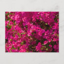 Recherche de le laos vœux cartes Luang prabang