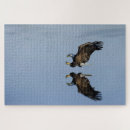 Recherche de aigles puzzles Oiseau