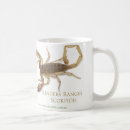 Recherche de scorpions tasses Arachnides