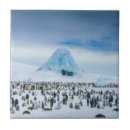 Recherche de iceberg carreaux Glace
