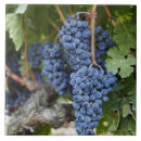 Recherche de croissance carreaux Dessins