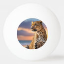 Recherche de coucher du soleil balles ping pong Plage