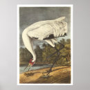 Recherche de huée posters Oiseau