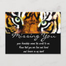 Recherche de yeux de tigre cartes postales Animaux