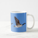 Recherche de oies de vol tasses Sauvagine
